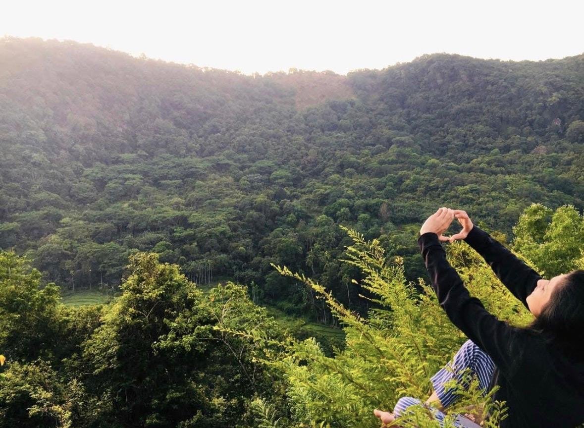 Shenaya Plantation - WhatsApp Image 2025 09 21 at 17.55.02 c0f9c064